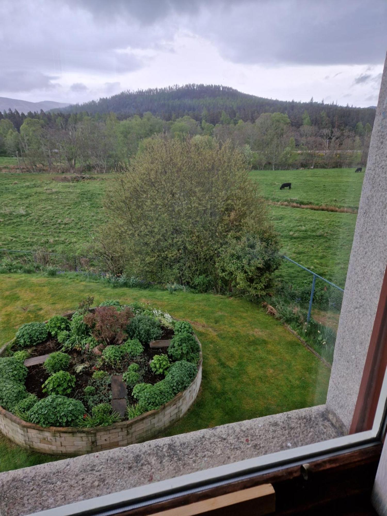 Creag Meggan Bed and Breakfast Ballater Værelse billede